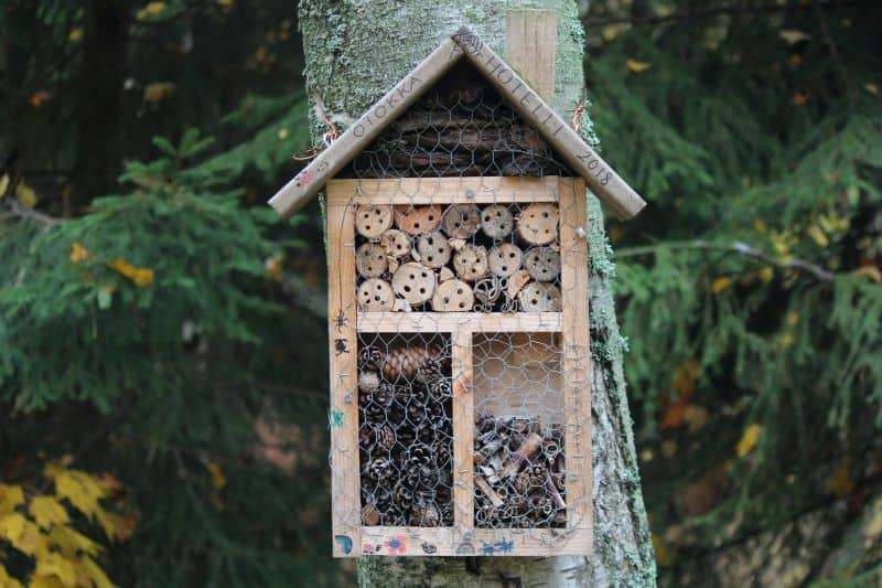 Hábitats para insectos para aumentar la biodiversidad