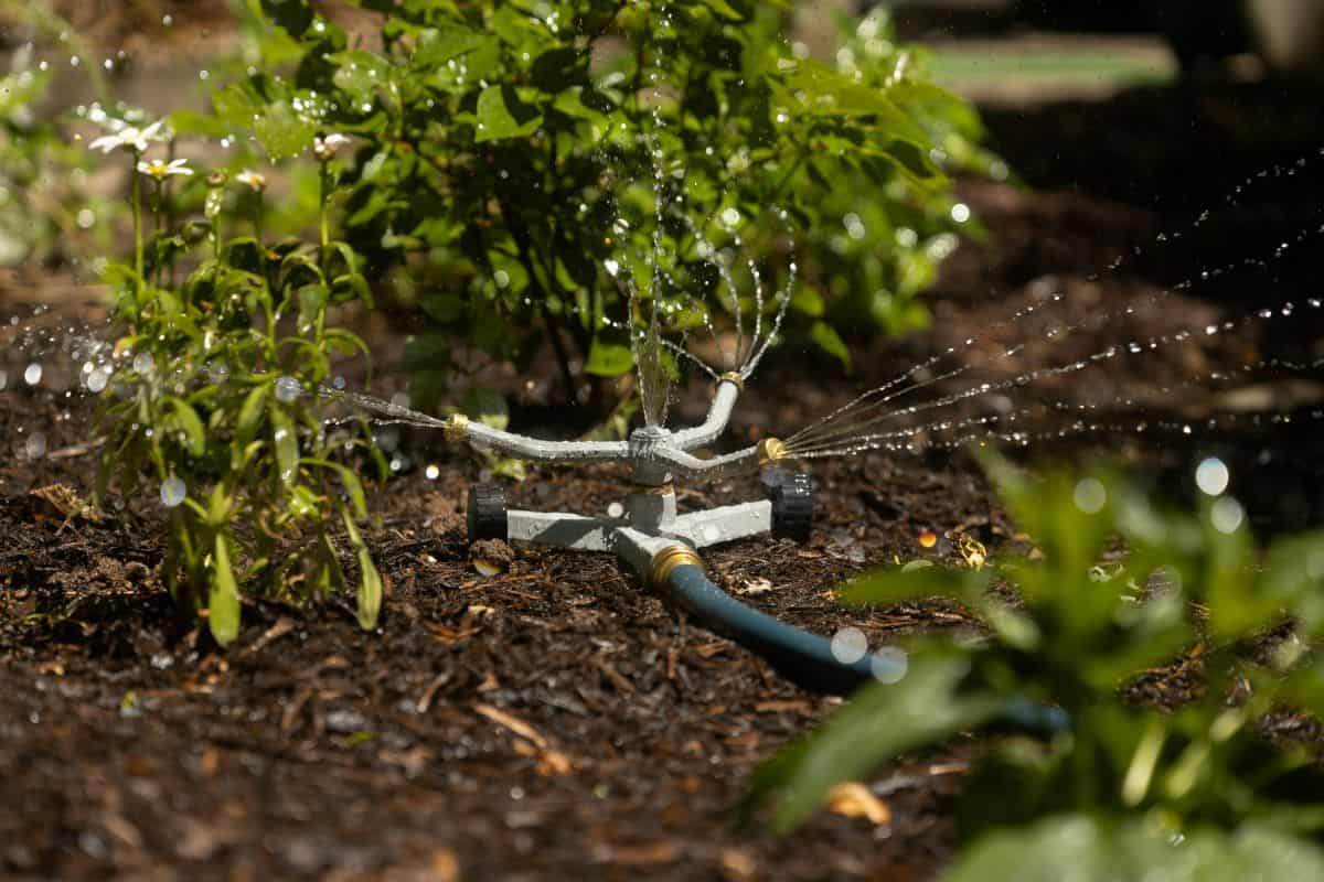 errores con aspersores en jardines