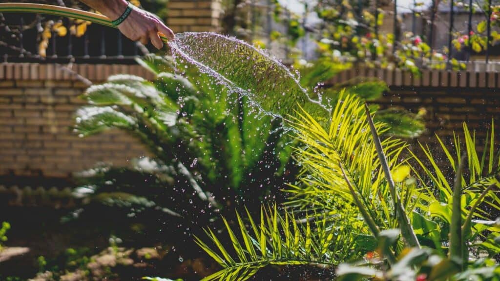 errores mantenimiento jardines y riegos