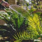 errores mantenimiento jardines y riegos