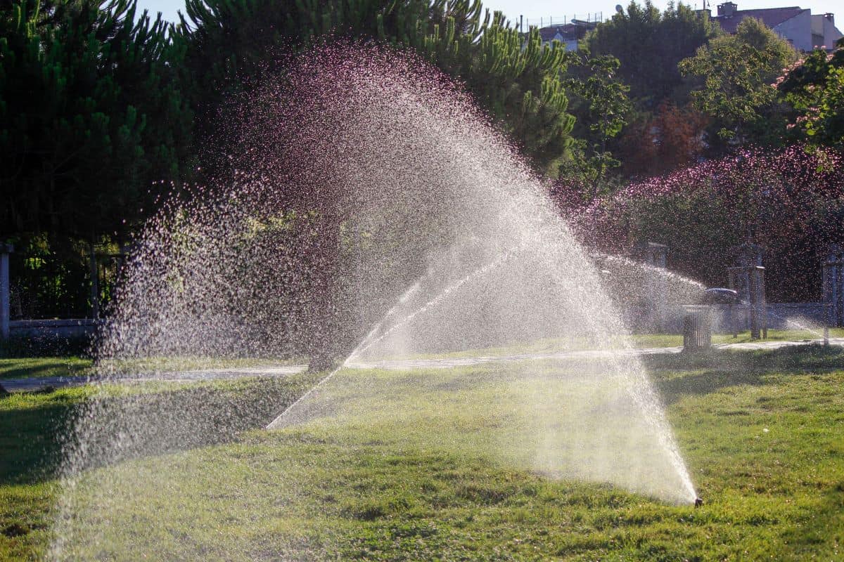 riego en mantenimiento de jardines - Jardines Belloc